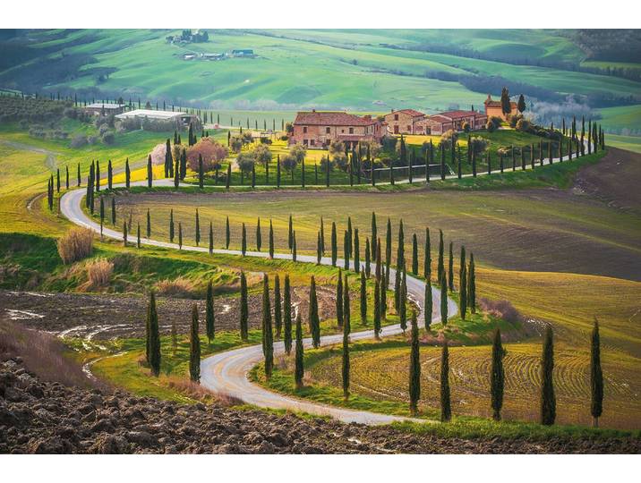 Fototapete PAPERMOON Fields in Tuscany , bunt, B:1,5m L:1,11m, Vlies, Tapeten, Fototapete