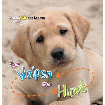 Vom Welpen zum Hund, Sonstige von Camilla de la Bédoyère, Globolino Verlag