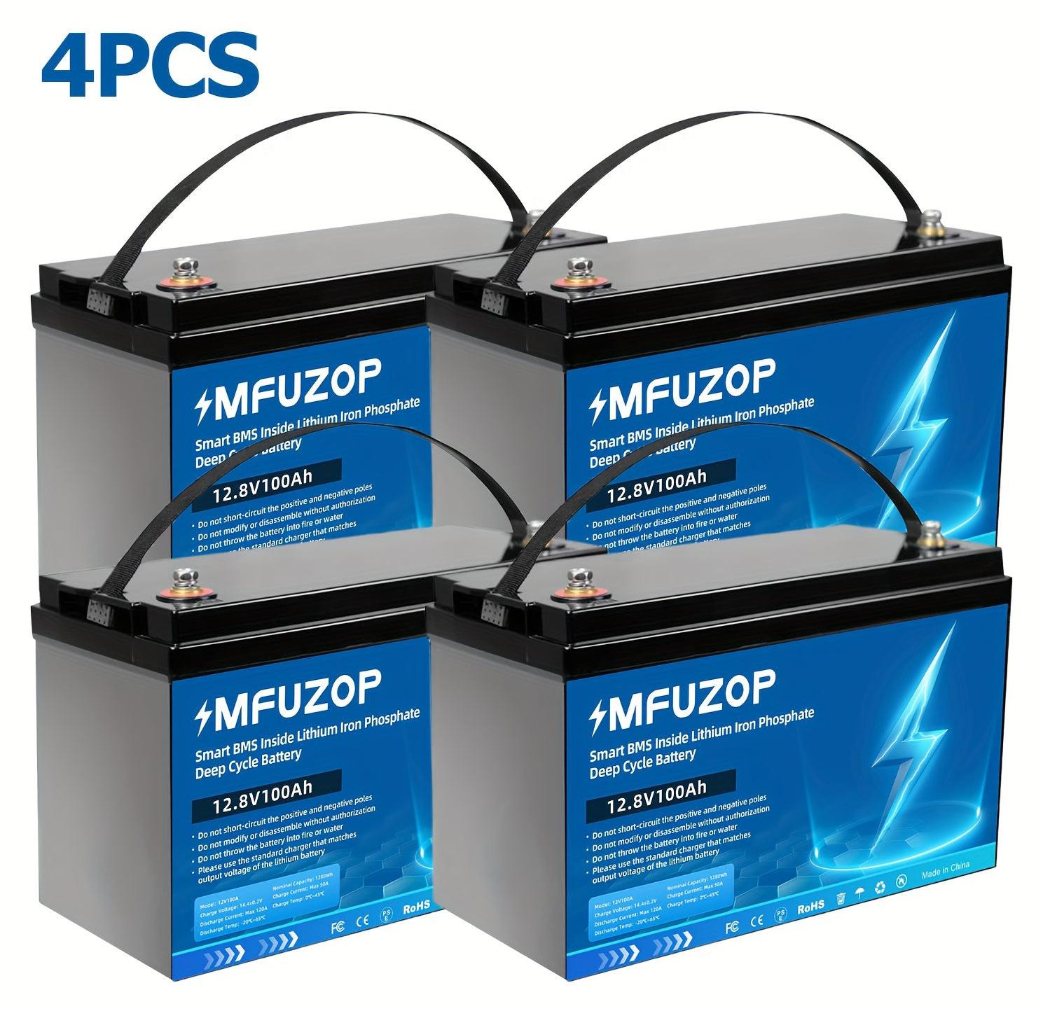 Selius LiFePO4 Accu - 12V 100Ah Lithium Deep Cycle Batterij voor Solar en RV