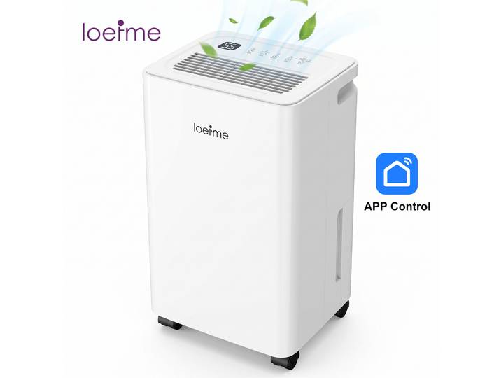 Déshumidificateur intelligent LOEFME APP, déshumidification de 16 L/jour, réservoir d'eau de 2 L, purificateur d'air, élimine l'humidité, la moisissure et les mauvaises odeurs, silencieux, absorbeur