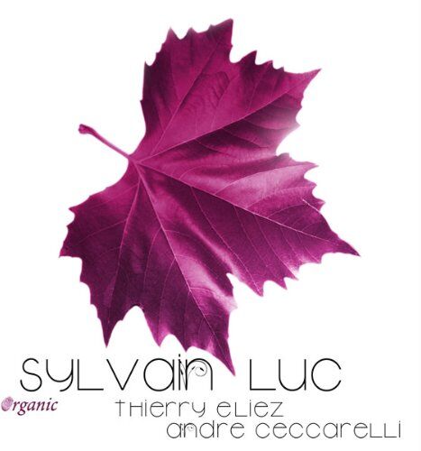 Sylvain Luc - Organic (Feat. Thierry Eliez & Andre Ceccarelli) - Preis vom 18.10.2026 19:22:15 h