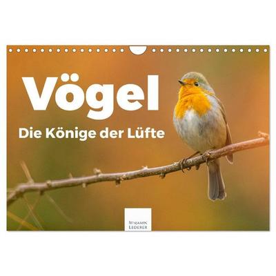 Vögel - Die Könige der Lüfte (Wandkalender 2026 DIN A4 quer), CALVENDO Monatskalender