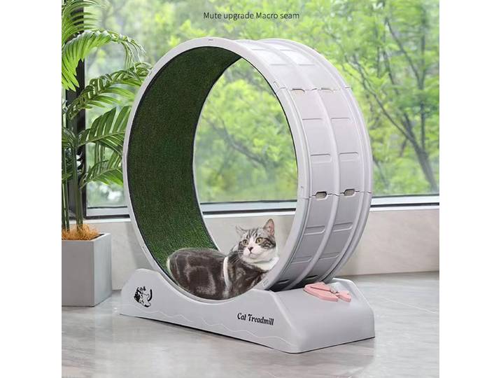 Tapis Roulant Silencieux pour Chat, Jouet Durable, Degré 0, Formaldéhyde, Fitness, Roues, Jeu, Accessoires