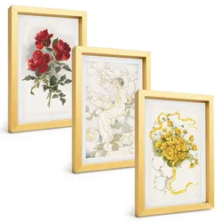 BILDER SET 3er Set - 20x30 cm Goldrahmen - Rosen rot-weiße Form