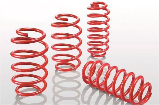 EIBACH E20-65-001-01-22 Suspension kit, coil springs