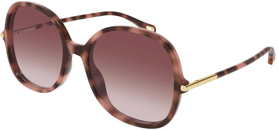 Chloé  - CH0383S 004 Havana - Lunettes de soleil