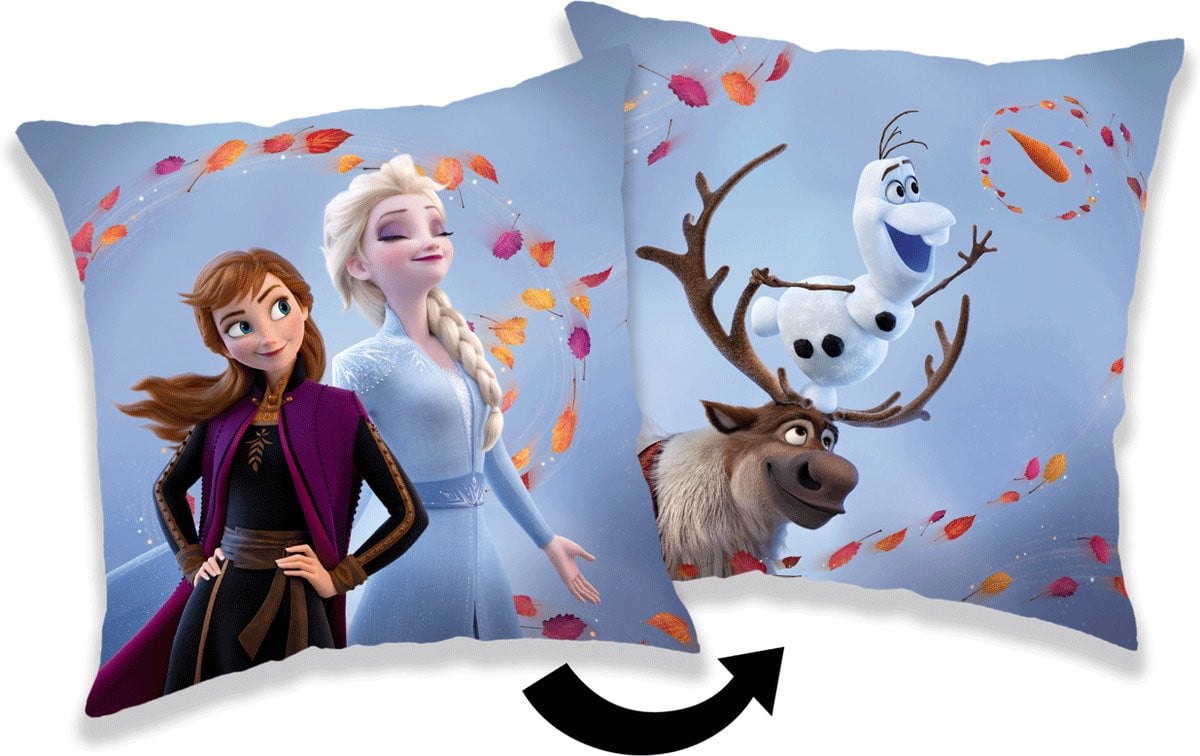 Disney Frozen Sierkussen Wind - 40 x 40 cm - Polyester
