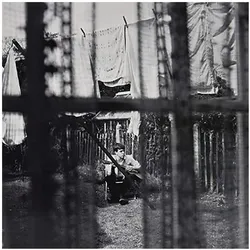 Capitol Films, Schallplatten, Chaos And Creation In The Backyard (Limited Gold Viny (Paul McCartney)