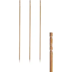 PAPSTAR 6000 Fingerfood - Spieße "pure" 15 cm gedrechselt