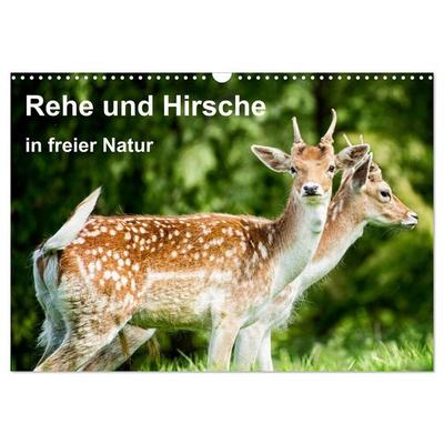 Rehe und Hirsche in freier Natur (Wandkalender 2026 DIN A3 quer), CALVENDO Monatskalender