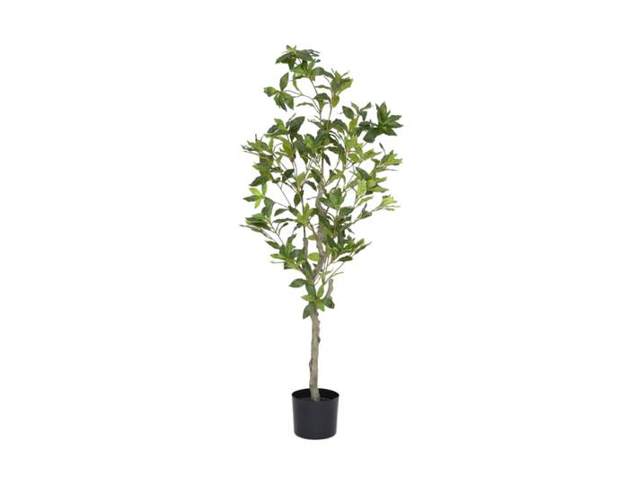 Lebensechte Kunstpflanze „Pieris“, verschiedene Grössen Grün Baq Design
