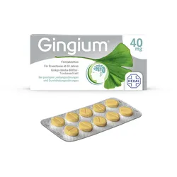Gingium 40 mg Filmtabletten 30 ST
