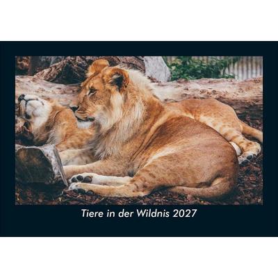 Tiere in der Wildnis 2027 Fotokalender DIN A5