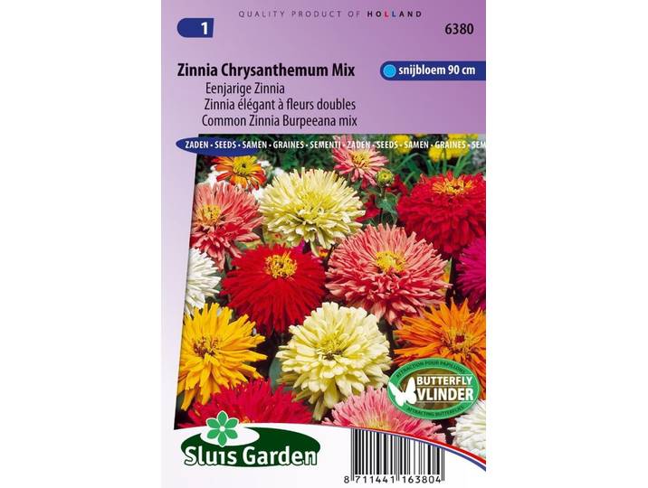 Zinnia Elegans zaden Chrysanthemum mix