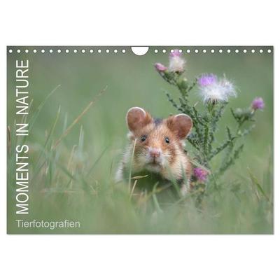Moments in Nature (Wandkalender 2027 DIN A4 quer), CALVENDO Monatskalender