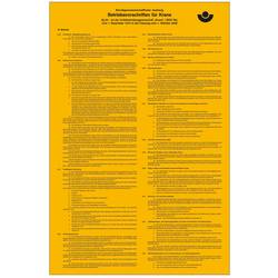SafetyMarking 43.2936 Aushang Berufsgenossenschaft Betriebsvorschriften für Krane Kunststoff (B x H) 310 mm x 475 mm 1 St.
