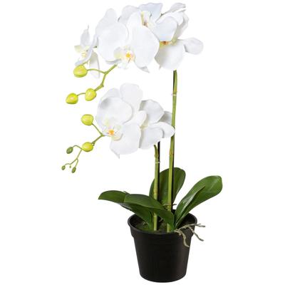 Kunstpflanze CREATIV GREEN, weiß, H:55cm, Kunststoff, Polyester, Kunstpflanzen, Kunstpflanze