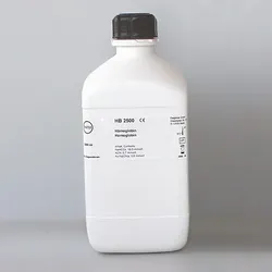 Hämoglobin Reagenz für Photometer 2500 ml