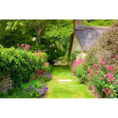 Fototapete PAPERMOON "GARTEN-BLUMEN BÄUME PFLANZEN STEINE WALD PERGOLA BLÜTEN", bunt, B:3,5m L:2,6m, Vlies, Tapeten
