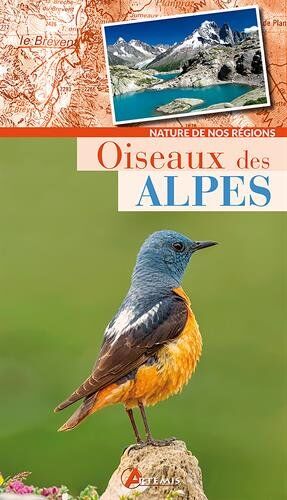Collectif - Oiseaux des Alpes - Preis vom 09.10.2026 07:28:09 h