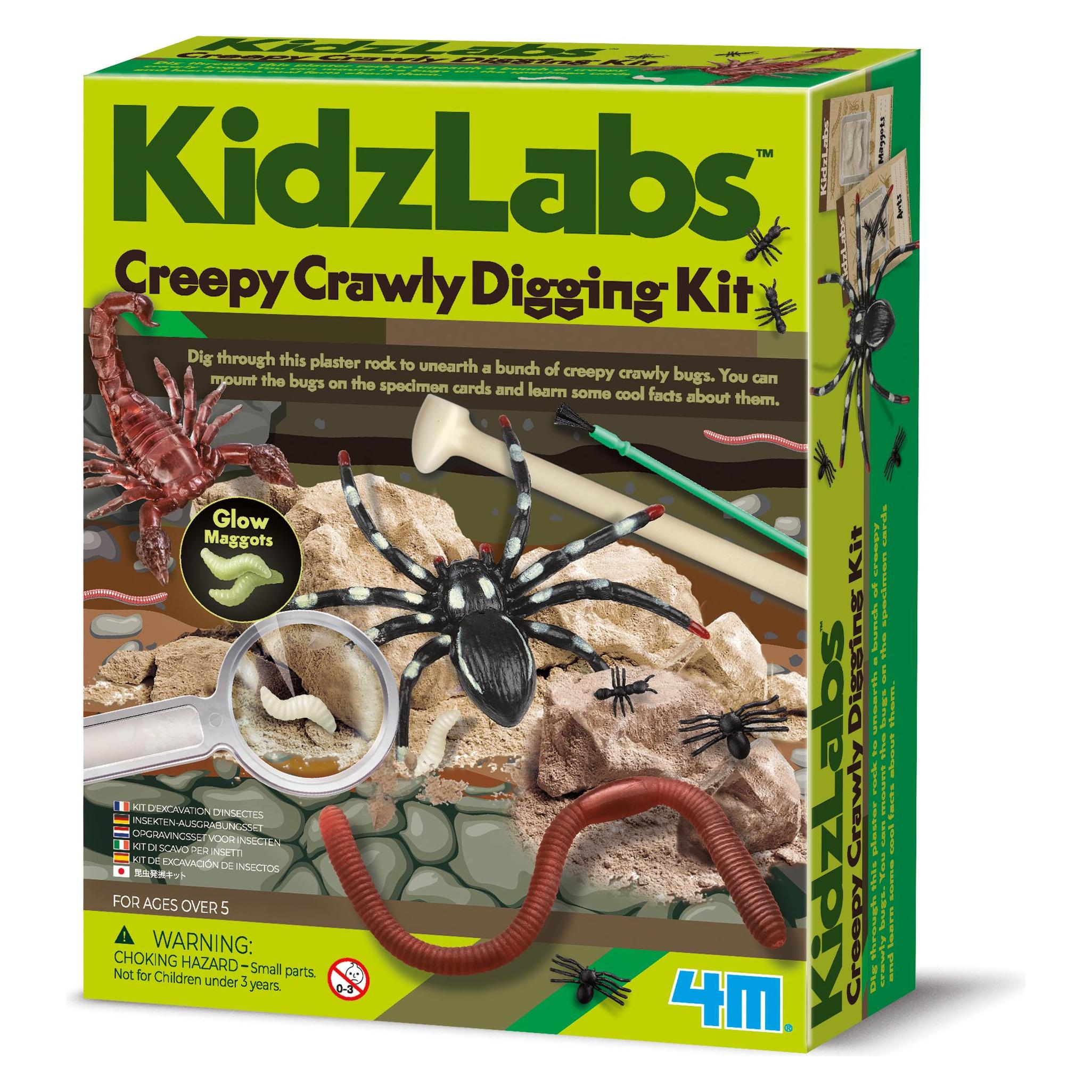 HCM Kinzel GmbH 4M - 68696 - KidzLabs Krabbeltierausgrabung - werde zum Archäologe, Ausgrabungsset f (68696)