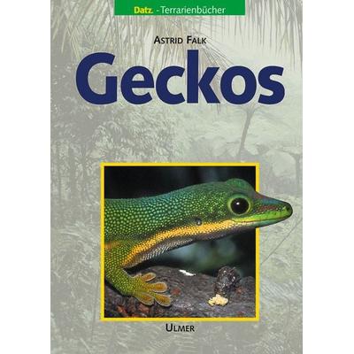 Geckos, Gebundene Ausgabe von Astrid Falk, Verlag Eugen Ulmer, 978-3-8001-3933-0