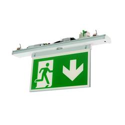 RIDI 1520196SI366 Fluchtweg-Notbeleuchtung EEK D (A - G) Rettungsweg