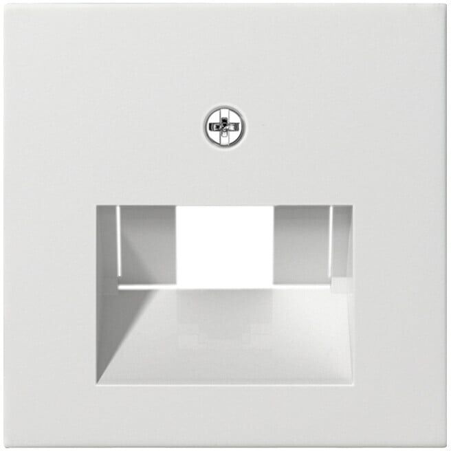 Gira Module central rws-gl pour connexion UAE-IAE 027003 (027003)