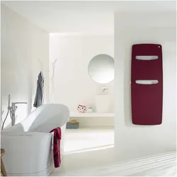 Zehnder Design-Heizkörper Vitalo Spa Completto, Bronze, 1825x16x690 mm, montagefertig mit EasyFit-Anschlussbox
