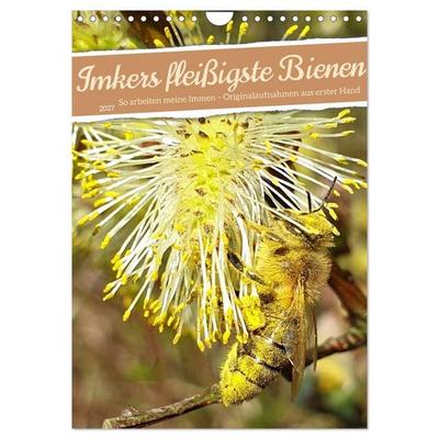 Imkers fleißigste Bienen - So arbeiten meine Immen – Originalaufnahmen aus erster Hand (Wandkalender 2027 DIN A4 hoch), CALVENDO Monatskalender