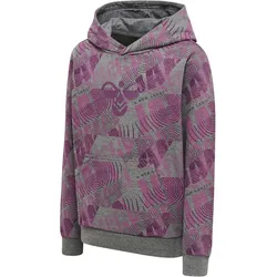 hummel hmlSPACE JAM Cuatro Hoodie Kinder 4758 - amaranth 104