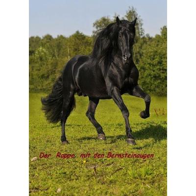 Dancer - Der Rappe mit den Bernsteinaugen, Taschenbuch von Martin Arndt, Epubli, 978-3-7502-6486-1