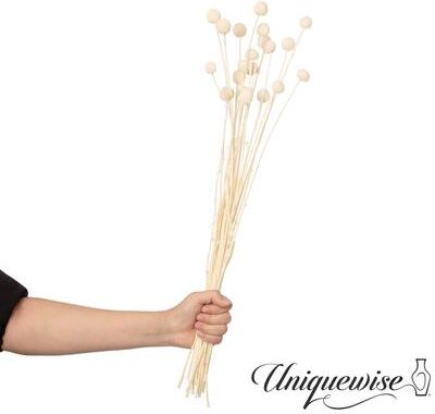 Uniquewise Preserved Real Floral Stems Chic Vase Fillers & Accents for Bouquets Centerpieces & Ornamental Displays