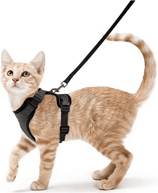 Inspire Curations EasyControl Escape Proof Cat Harness & Leash Set black s (4 7.5kg)