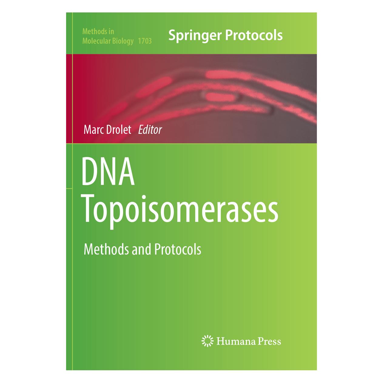 Springer DNA Topoisomerases (Englisch, Softcover, Marc Drolet) (56053876)