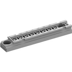 Striebel & John 2CPX010815R9999 TZ601P100 Montageleiste T=225 mm Packeinheit 100 Stück Montageleiste 100 St.