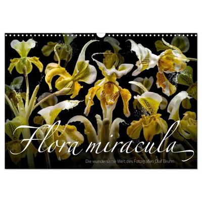 Flora miracula - Die wundersame Welt des Fotografen Olaf Bruhn (Wandkalender 2027 DIN A3 quer), CALVENDO Monatskalender