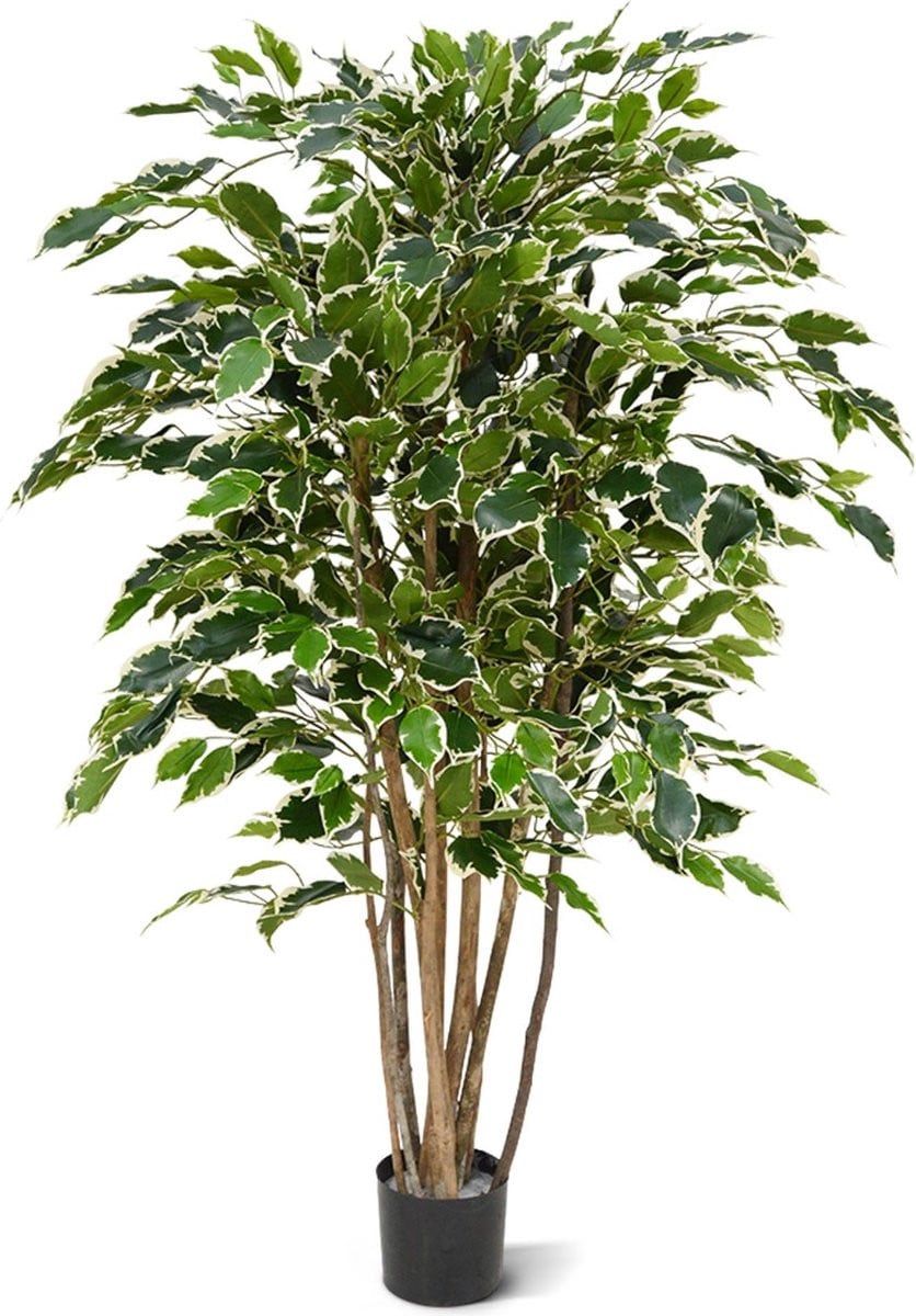 Ficus Exotica deluxe kunstplant bont, 125 cm