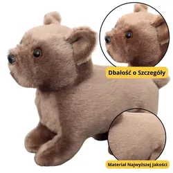 Plüsch Maskottchen Kuscheltier Kleiner Hund Braun 19cm