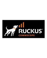 Ruckus WatchDog 4-Hour Parts Serviceerweiterung Zubehör 1 Jahr Lieferung 24x7 Reaktionszeit: 4 Std. für P/N: ICX7150-48-2X10G-AU ICX7150-48PF-2X10G-AU ICX7150-48PF-4X10GR-AU (ICX7150-SVL-4P-1)