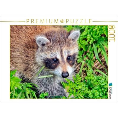 CALVENDO Puzzle Niedlicher Allesfresser - Waschbär | 1000 Teile Lege-Größe 64x48cm Foto-Puzzle für glückliche Stunden, Sonstige von , Calvendo Puzzle