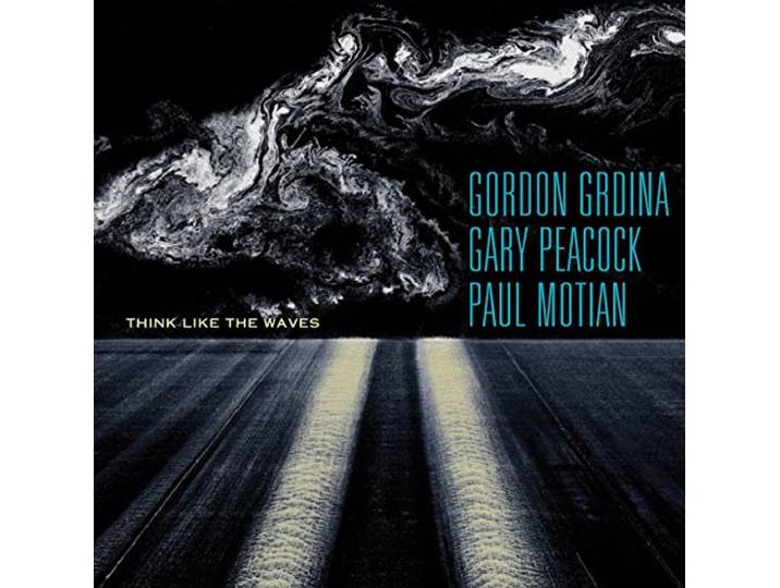 Gordon / Gary Peacock / Pau Grdina - Think Like The Waves