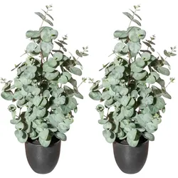 CREATIV green künstliche Pflanze Eukalyptus, ca 60cm, 2er Set