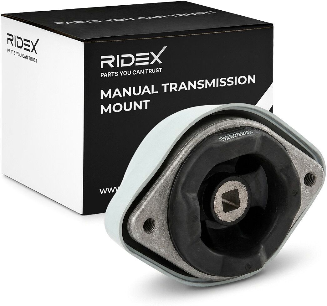 RIDEX 249M0171 Mounting, manual transmission