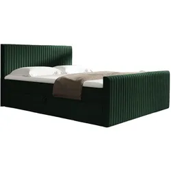 BOXBETT Adrien In Fresh