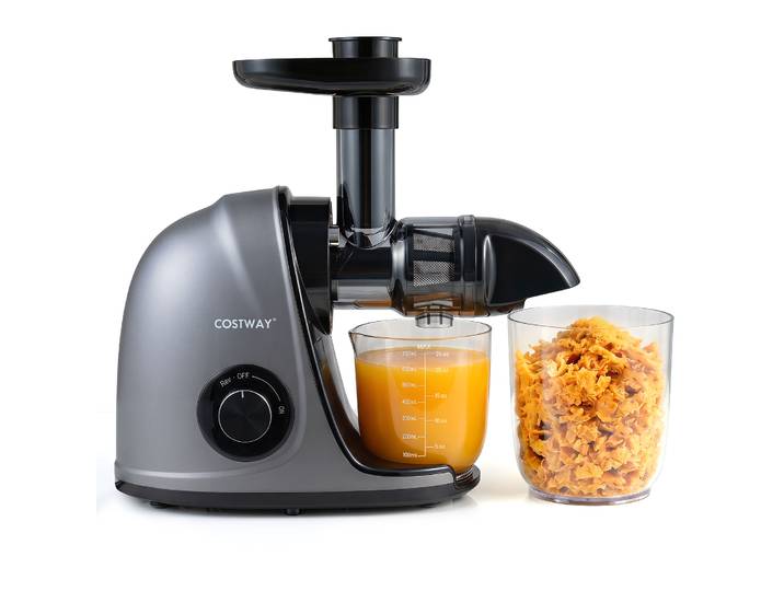 Slowjuicer Koudpers 150 W Elektrische Juicer met Omkeerfunctie Sapcentrifuge met Reinigingsborstel 2 Containers Zilver