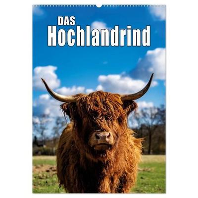 Das Hochlandrind im Frühjahr (Wandkalender 2027 DIN A2 hoch), CALVENDO Monatskalender
