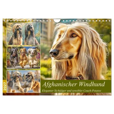 Afghanischer Windhund. Eleganter Sichtjäger und sensibler Couch-Potatoe (Wandkalender 2027 DIN A4 quer), CALVENDO Monatskalender