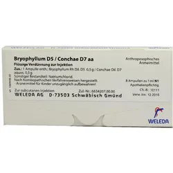 Bryophyllum D 5/conchae D 7 Ampullen 8X1 ml