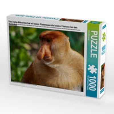 CALVENDO Puzzle Das Alpha-Männchen hat mit seiner Riesennase die besten Chancen bei den Weibchen 1000 Teile Lege-Größe 64 x 48 cm Foto-Puzzle Bild von